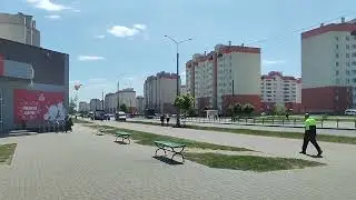 Домейко
