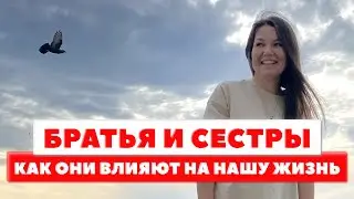 БРАТЬЯ И СЕСТРЫ. Метод легализации правды. КОНКУРЕНЦИЯ МЕЖДУ ДЕТЬМИ В СЕМЬЕ