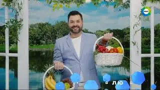 Заставки (Мир, лето 2024)