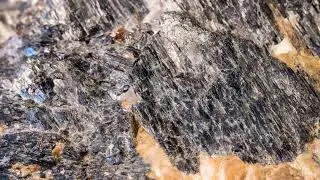 Amphibole