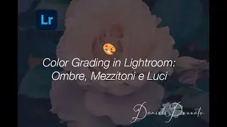 🎨 Color Grading in Lightroom: Ombre, Mezzitoni e Luci