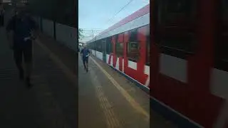 Иволга ОТЪЕХАЛА