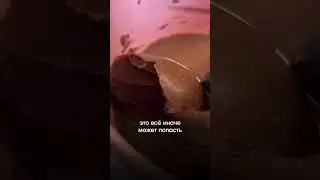 Не покупайте виниловые перчатки!