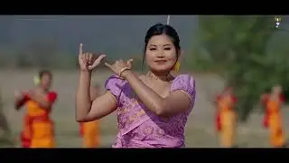 New bodo song.