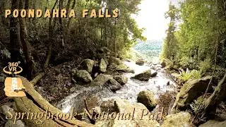 Poondahra Falls, Springbrook National Park - 360°/VR Immersive Experience