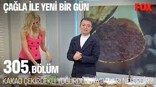 Kakao çekirdekli yoğurdun faydaları nelerdir? Çağla ile Yeni Bir Gün 305. Bölüm