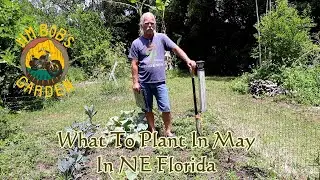 What To Plant In May In NE Florida