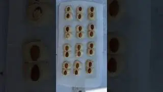 Bounty Chocolate Bars