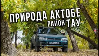 AUTO LIFE • Природа Актобе • Район 
