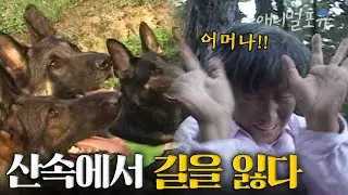 산속에서 3일째 실종된 할머니, 구조견을 보고 놀라 도망치고 마는데..! | KBS 긴급구조 119 031007 방송
