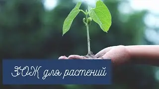 Растения  ЗОЖники и 
