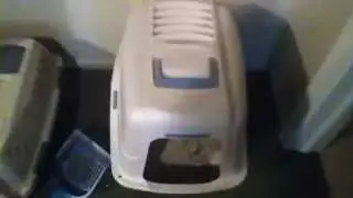 Return of the Liter-box!
