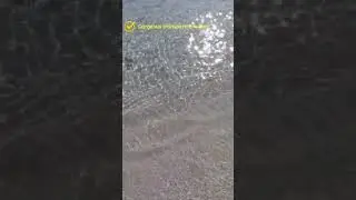 Gorgeous transparent water & wave sound 😎😎❤️❤️