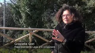 Cinghiali in Umbria, opinioni a confronto