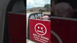 Мусор на Бали, добрые дела #бали #новостибали