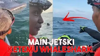 Seru banget berenang bareng Hiu di laut jakarta!!!