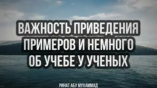 575. О важности получения знания от учёных и о методе приведения примера в обучении