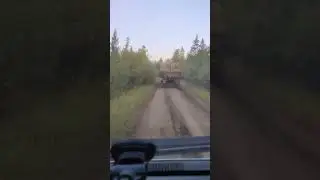 Возим сено в рулонах #саха #сенокос2024 #сенокос #сено #урал #хайс #мтз #синтай #сеноврулонах