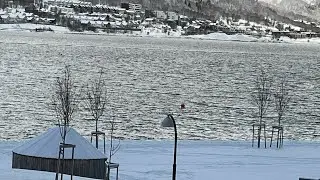 Snowstorm Timelapse ❄️