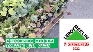 Леруа Мерлен/АЛТУФЬЕВО/МОСКВА/Товары для сада/ Растения/Керамзит-ДЕШЕВО! съемка 9сентября2022