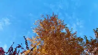 СВЯТОГОРСК маленькая Швейцария