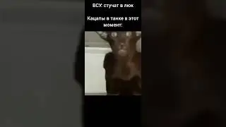 Рашка парашка