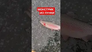 #youtubeshorts #youtuber #fishing #рекомендации #рек #врек #рыбалка #врекомендации