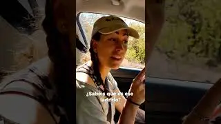 Sistema de alarma de babuinos