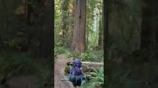 Video of redwood creek dispersed camp, CA from Sam S.