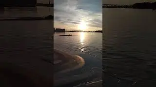 22 августа 2024 г.
