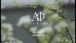 Арт-Флора сеть салонов флористики в Орле