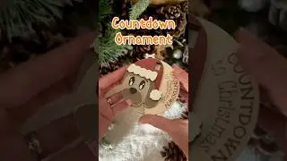 Counting Down to Christmas with your Furry Friends ❤️🐶