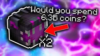 Is spending 6.3B coins to get 2 dragon pets the reality in Hypixel Skyblock?