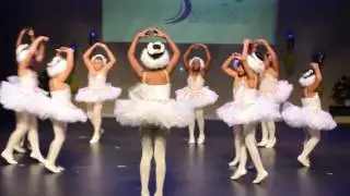 DSC 0028