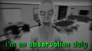 This Game Drives You Insane - I'm On Observation Duty (Steam Scheme)