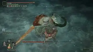 Fighting Misbegotten Crusader (no summon) in Cave of the Forlorn - Elden Ring PS5 gameplay [4K]