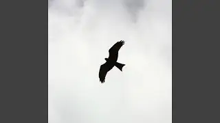Libertas