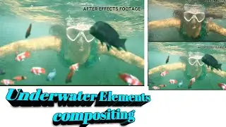 Underwater elements compositing| ALIGHT MOTION|After Effects.