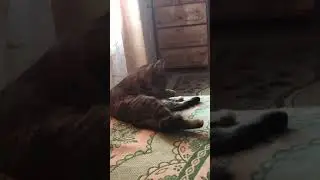 3 июня 2019 г.