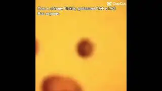 Рил
