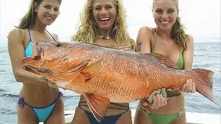 Woow, Cewek sexy Mancing Dapat Ikan Raksasa