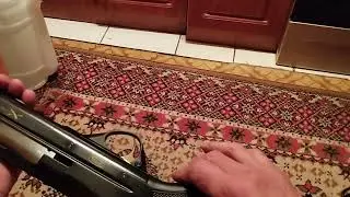 Брэда ксантос. Новая подружбайка.