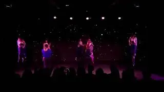 El Baile No Se Acaba: Amor Como Canarios (Salsa)