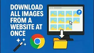 Download All Images from Any Website at Once (Chrome Extension Tutorial)