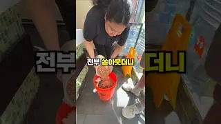 세계에서 가장 비싼 천조국 요아정