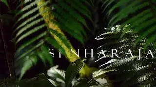 In the trails of the Lion | Short Ver.