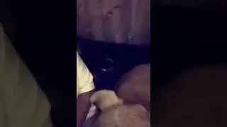Смишной ролик хи та ха