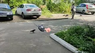 Интересное рядом! Рядом с дачей, домом.