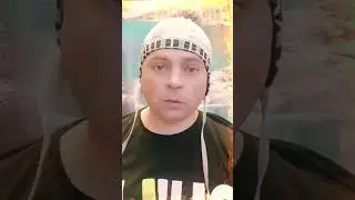 Дельфины или киты...