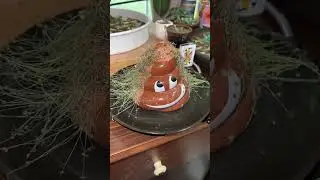Plant station update! 